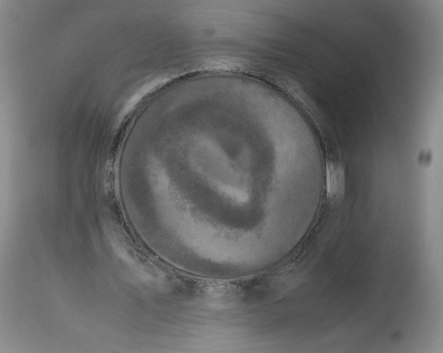 X0000112530579200909141249