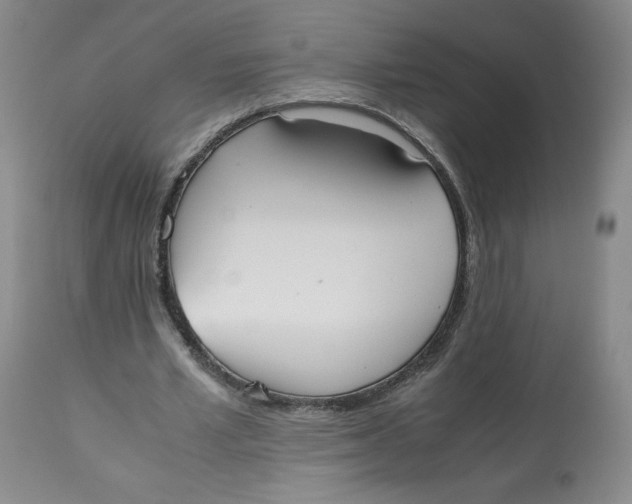 X0000112530581200909141249