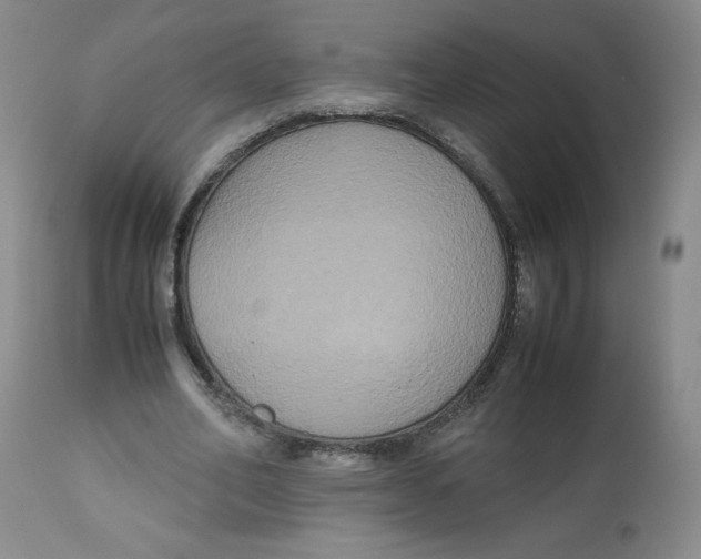 X0000112530582200909141249