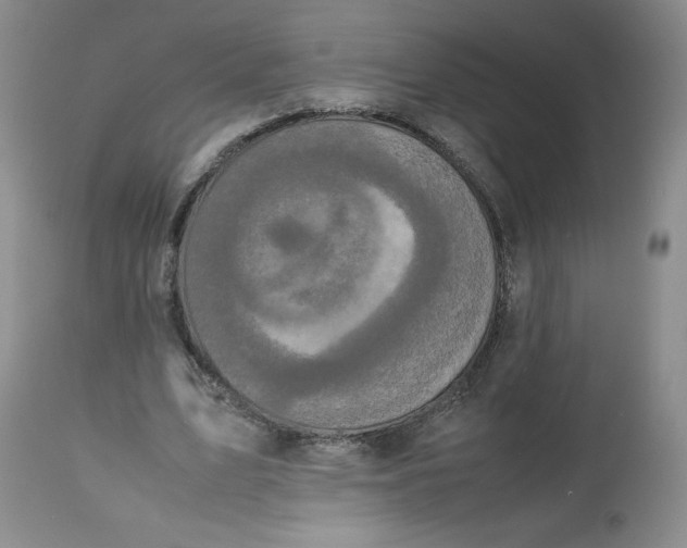 X0000112530583200909141249