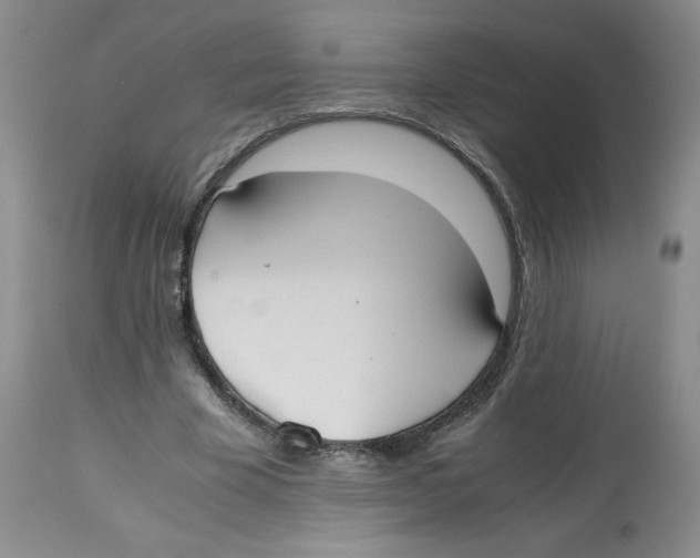 X0000112530585200909141249