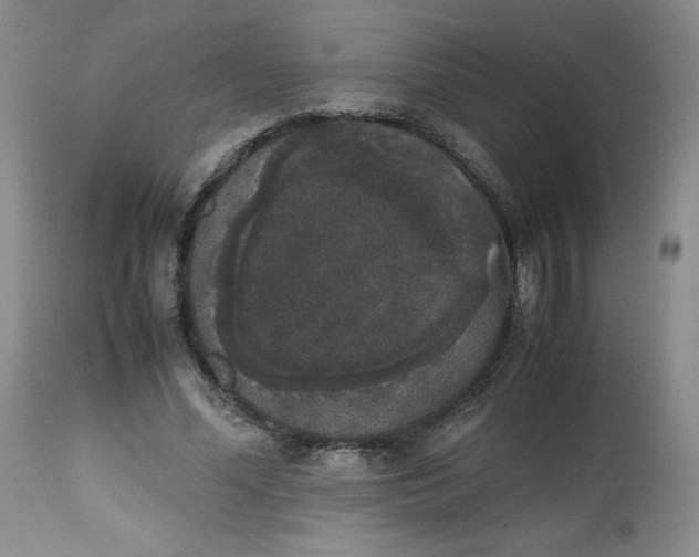 X0000112530588200909141249