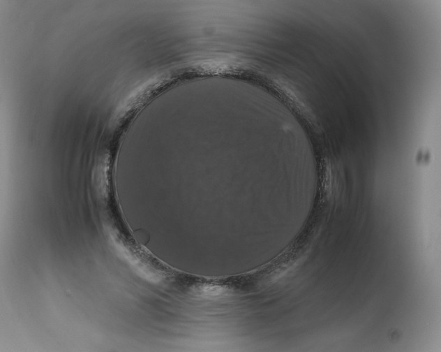 X0000112530590200909141249