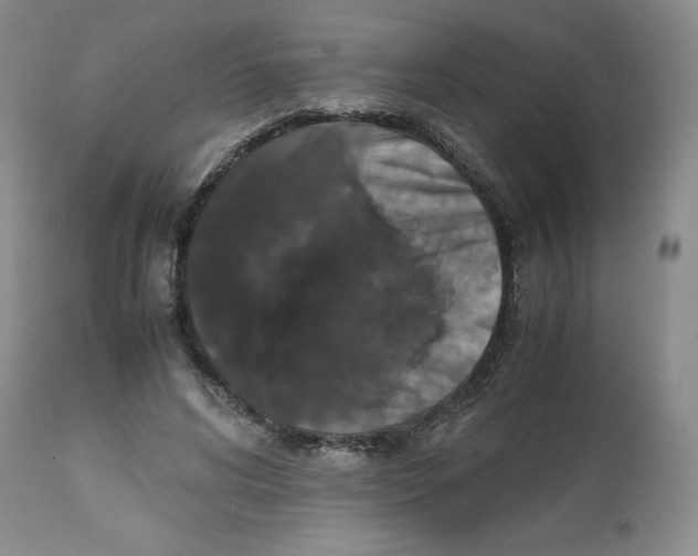 X0000112530592200909141249