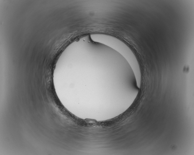 X0000112530593200909141249