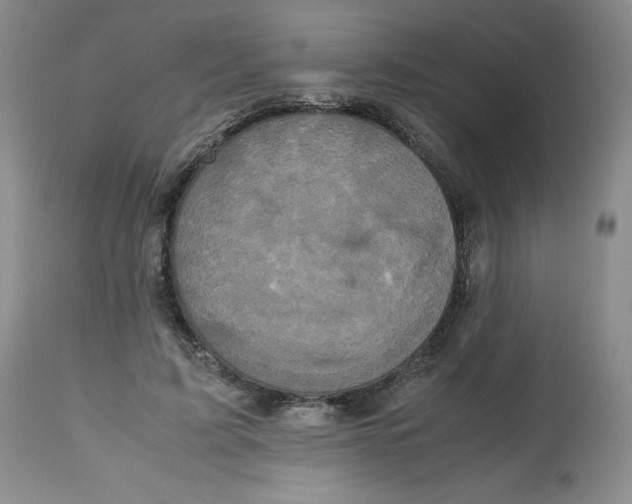 X0000112530595200909141249