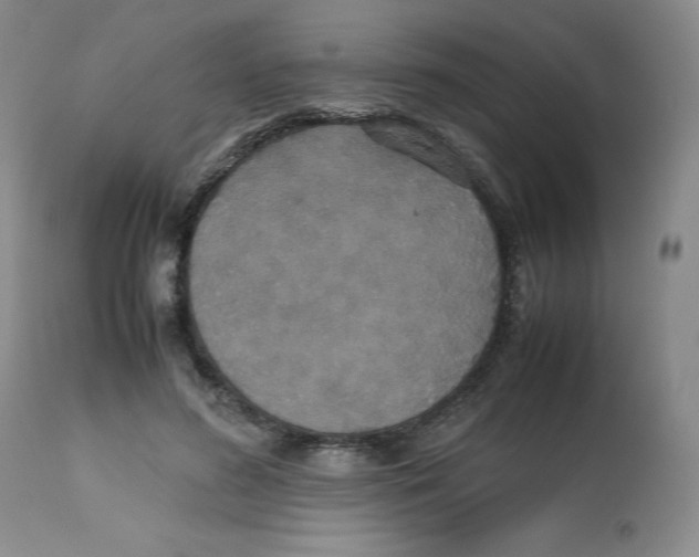 X0000112530596200909141249