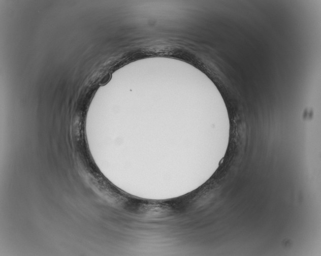 X0000112530597200909141249