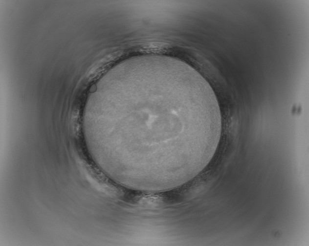 X0000112530599200909141249