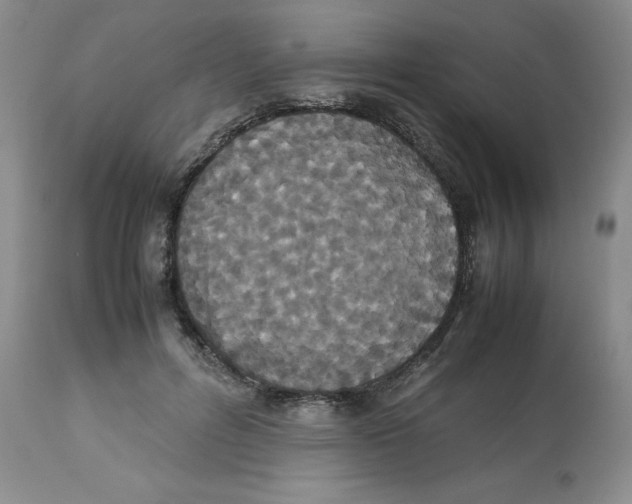 X0000112530600200909141249