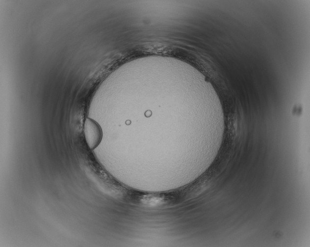 X0000112530602200909141249