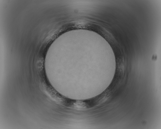 X0000112530603200909141249