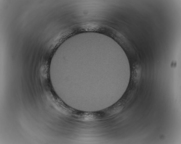 X0000112530604200909141249