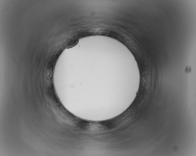 X0000112530605200909141249