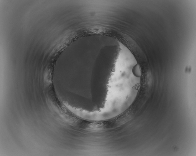 X0000112530606200909141249