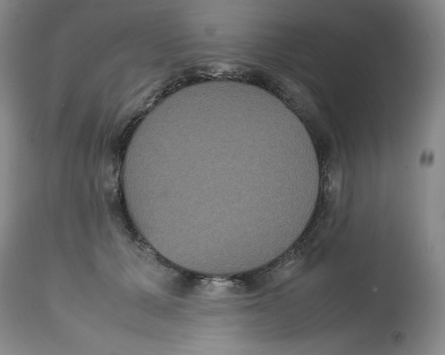 X0000112530607200909141249