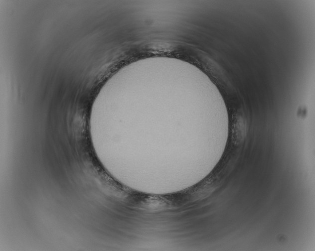 X0000112530608200909141249