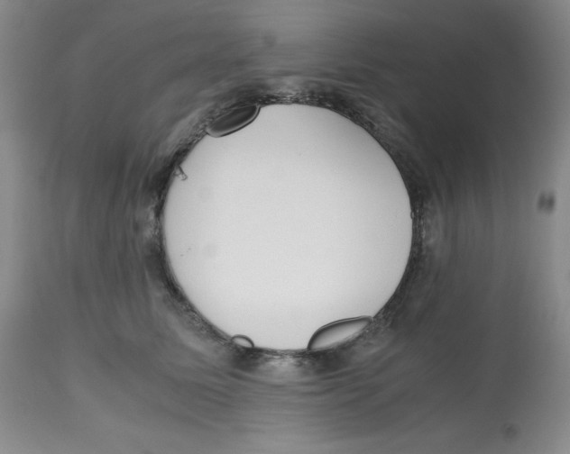 X0000112530611200909141249