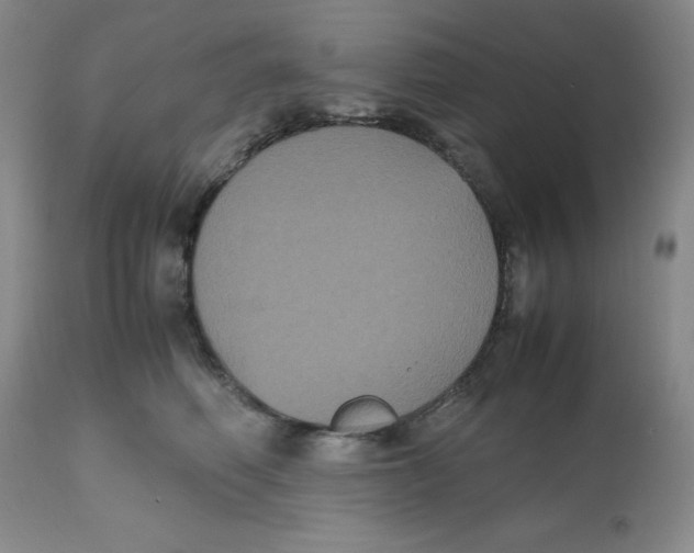 X0000112530614200909141249