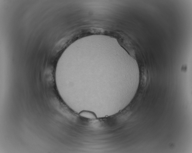 X0000112530616200909141249