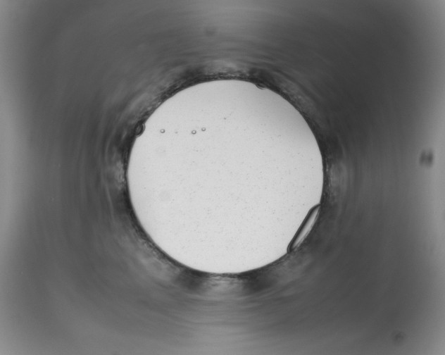 X0000112530617200909141249