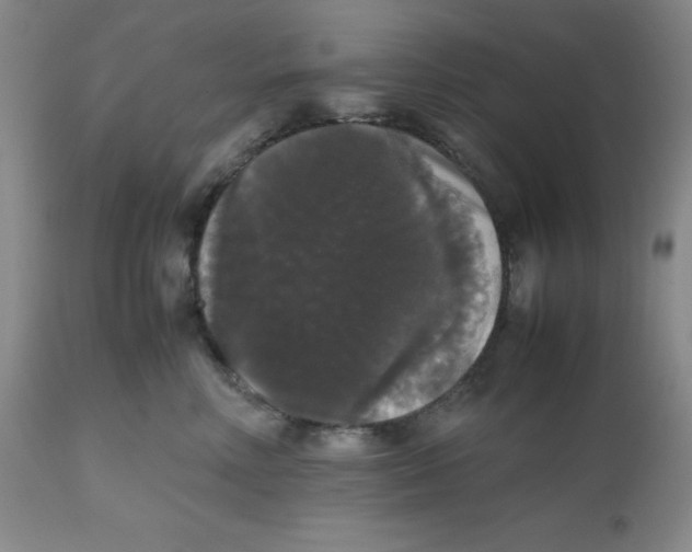 X0000112530618200909141249