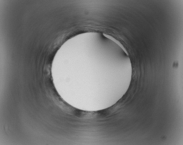 X0000112530621200909141249