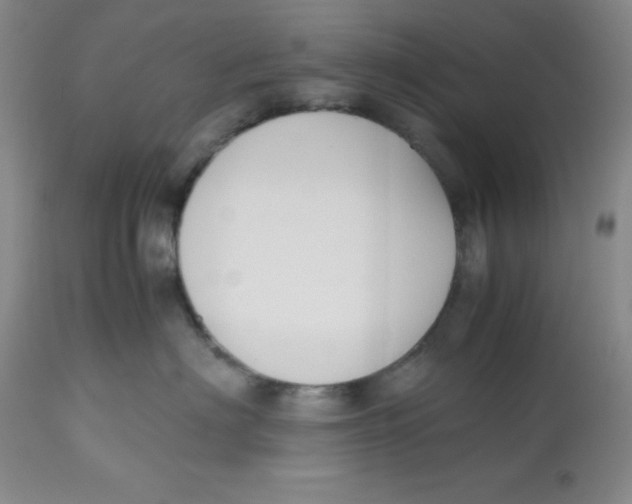 X0000112530622200909141249