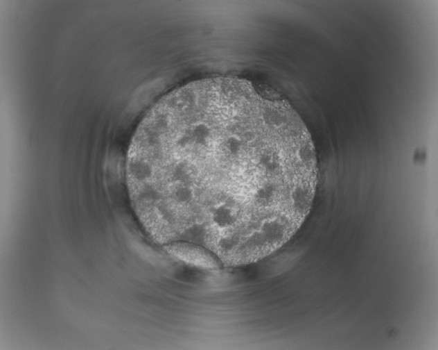 X0000112530623200909141249