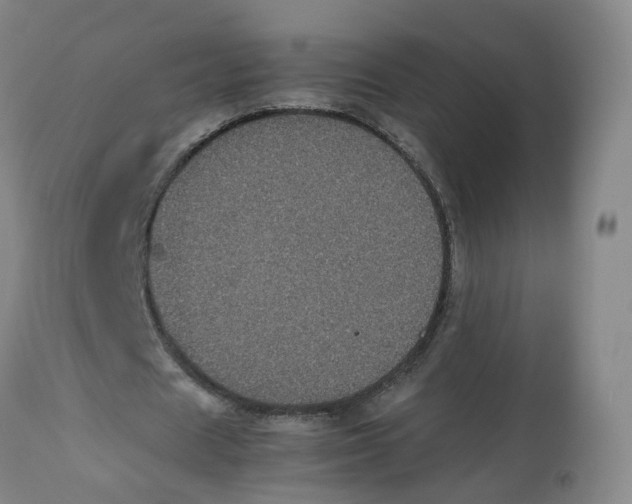 X0000112530625200909141248