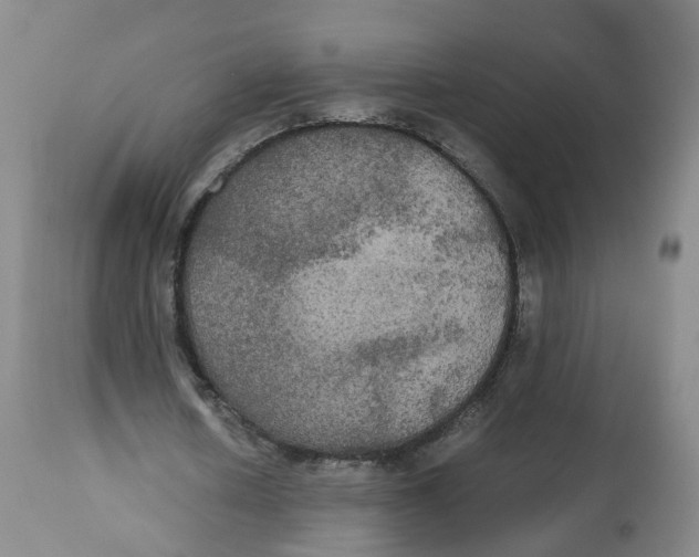 X0000112530626200909141248