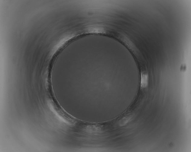 X0000112530627200909141248