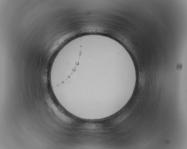 X0000112530629200909141248