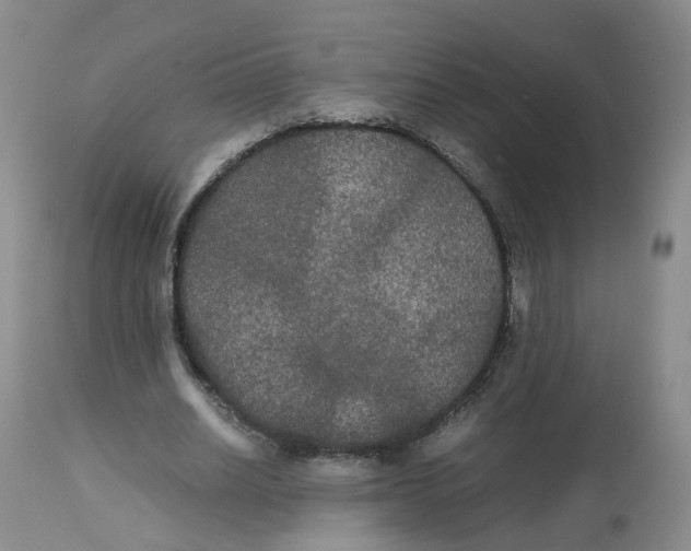 X0000112530630200909141248