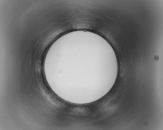 X0000112530631200909141248