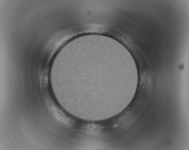 X0000112530632200909141248