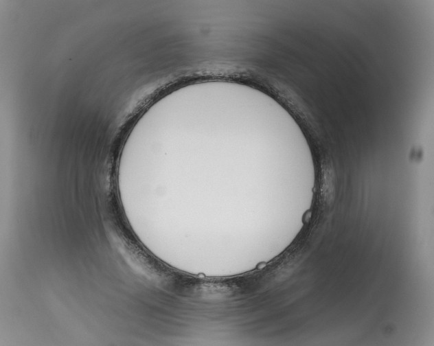 X0000112530636200909141248