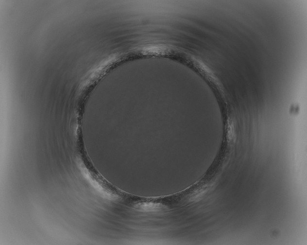 X0000112530637200909141248