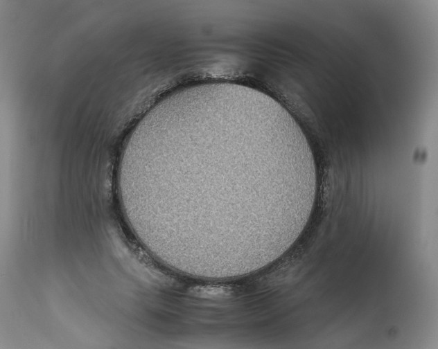 X0000112530639200909141248