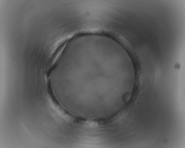 X0000112530640200909141248