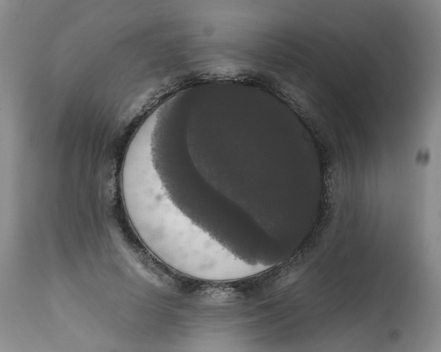 X0000112530642200909141248