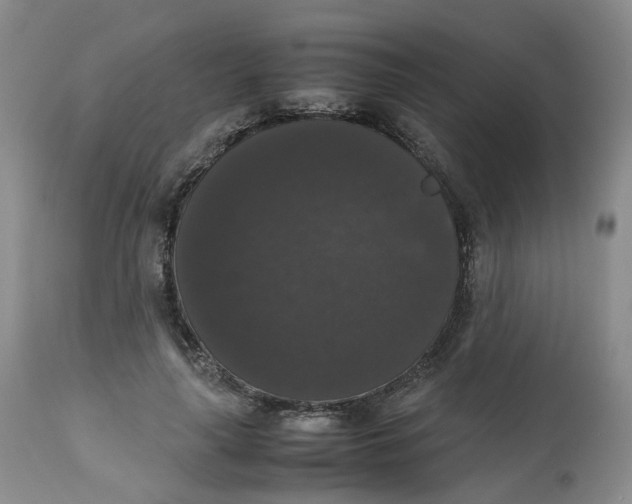 X0000112530643200909141248