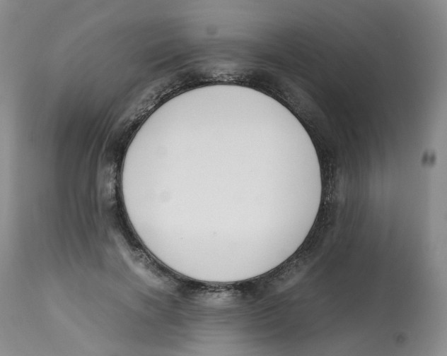 X0000112530646200909141248