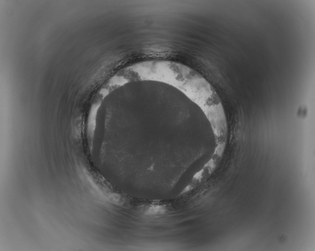 X0000112530647200909141248