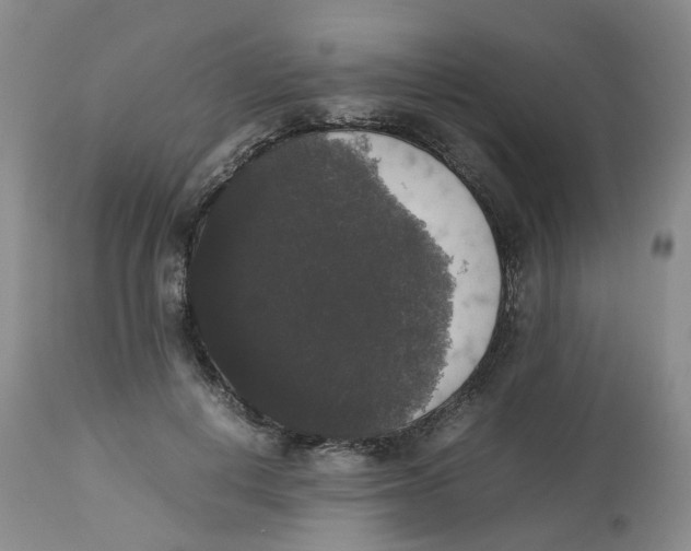 X0000112530648200909141248