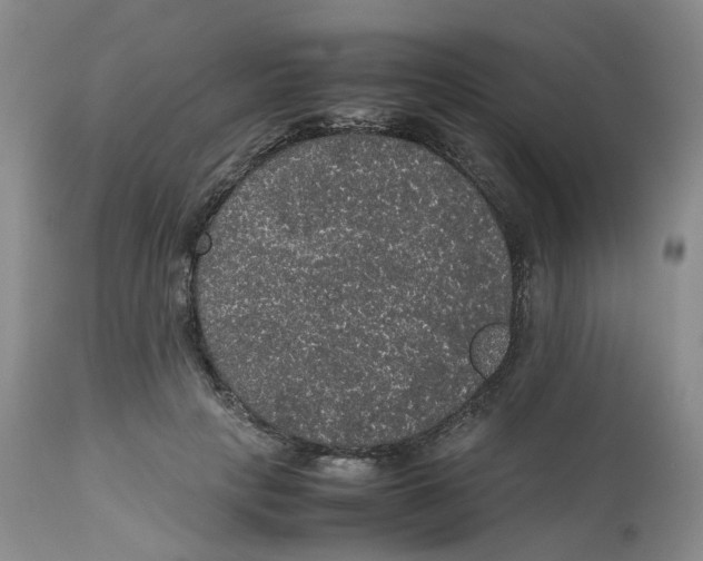 X0000112530649200909141248