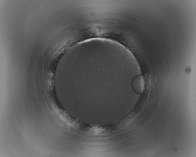 X0000112530650200909141248