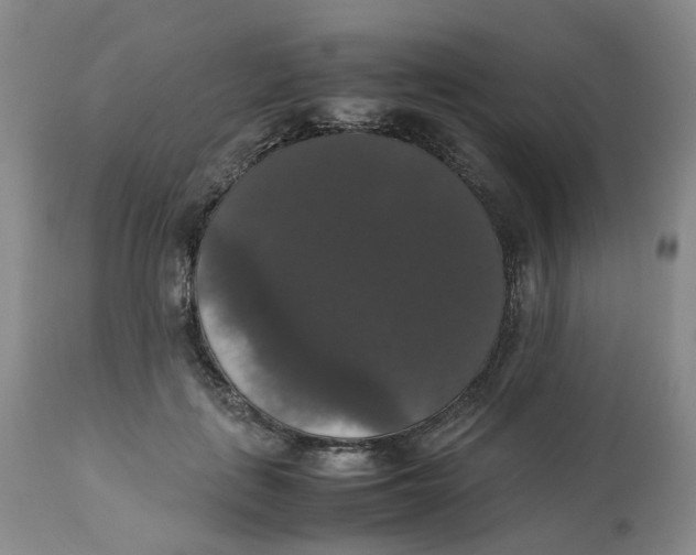 X0000112530651200909141248