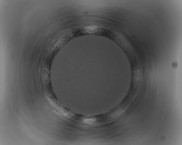 X0000112530653200909141248