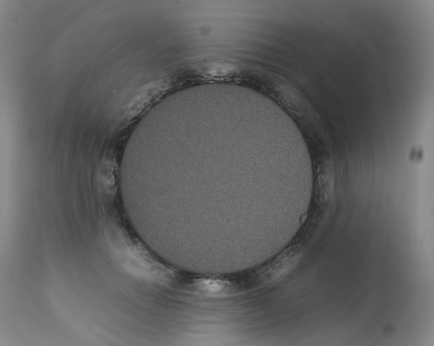 X0000112530654200909141248